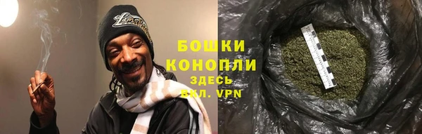 дмт Инсар