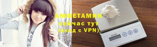 дмт Инсар