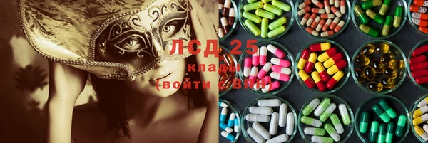дмт Инсар