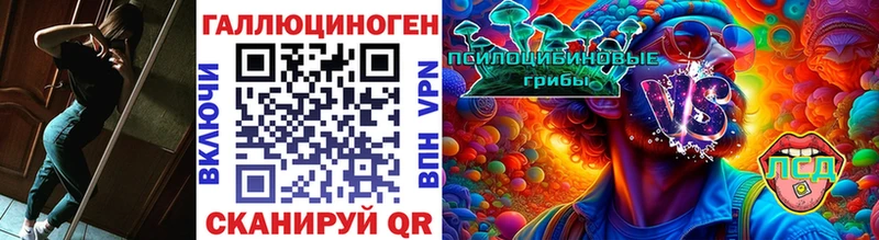 где найти   Инта  Псилоцибиновые грибы ЛСД 
