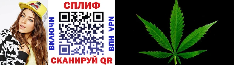 где купить наркоту  ОМГ ОМГ ссылка  Бошки марихуана семена  Инта 